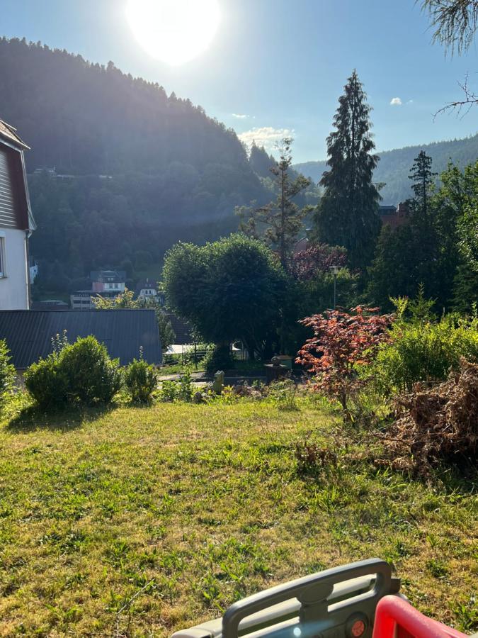 Viva La Wildbad Apartment Bad Wildbad Luaran gambar