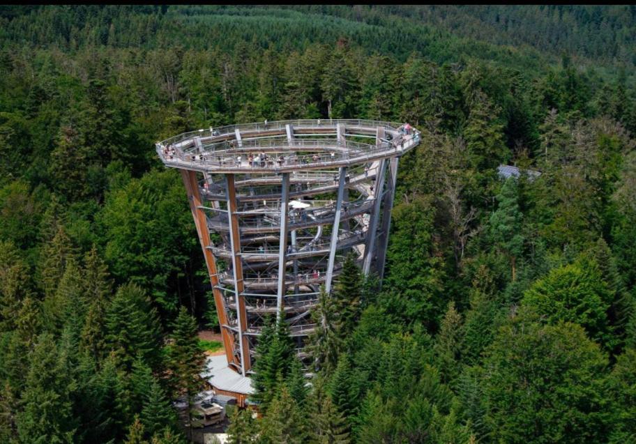 Viva La Wildbad Apartment Bad Wildbad Luaran gambar