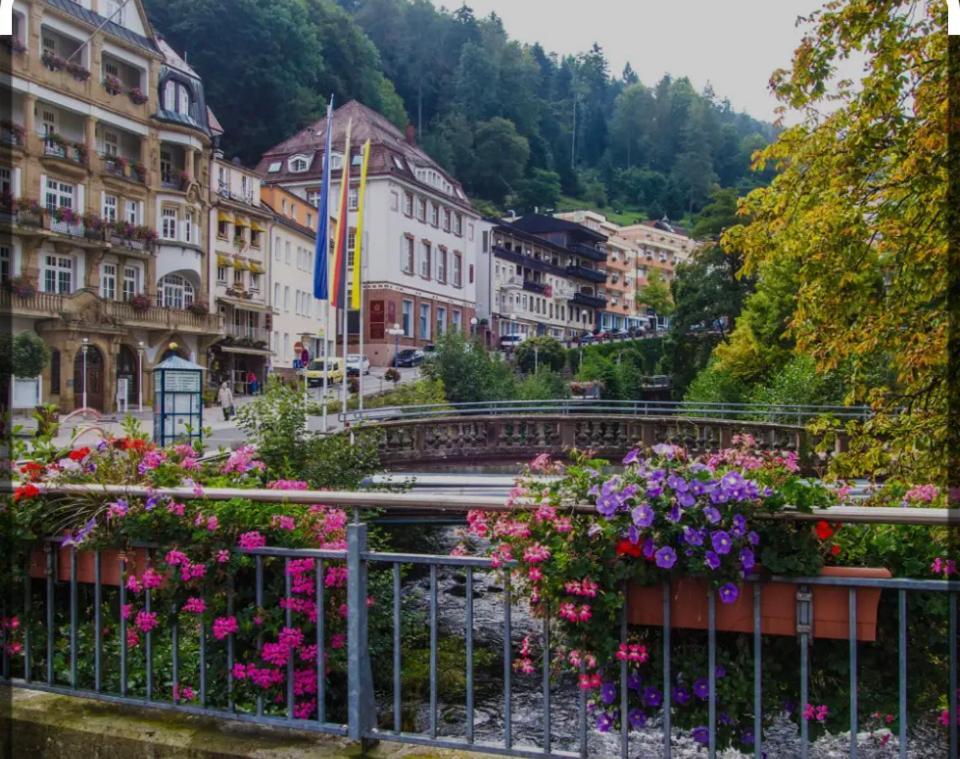 Viva La Wildbad Apartment Bad Wildbad Luaran gambar