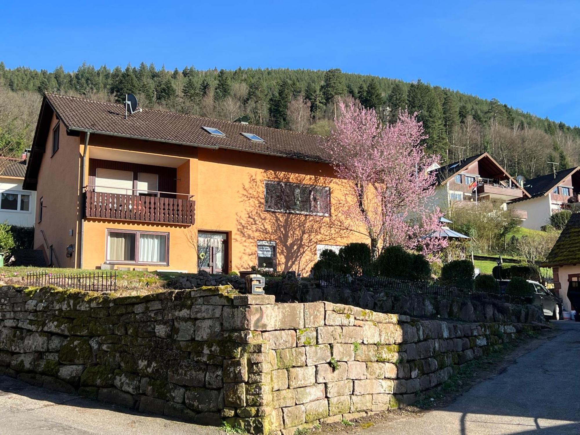 Viva La Wildbad Apartment Bad Wildbad Luaran gambar